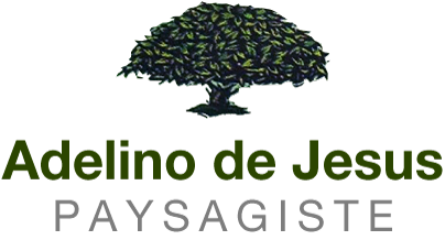 Adelino De Jesus Paysagiste Jardin Dudelange Editus