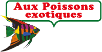 W3167100FIA.png