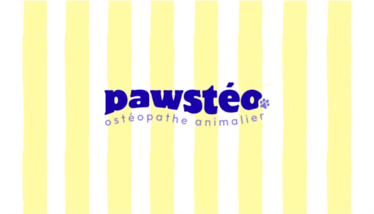 Logo Pawsteo