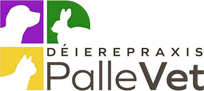 Logo PalleVet Fear Free Vet