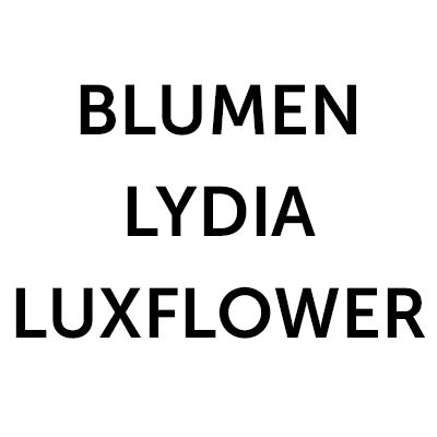 Blumen Lydia Luxflower