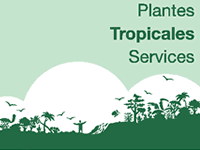 Logo Plantes Tropicales Services