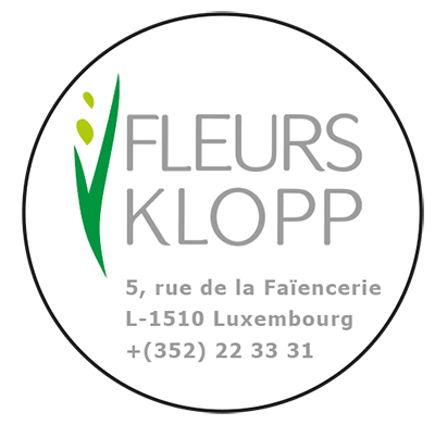 Logo Fleurs Klopp