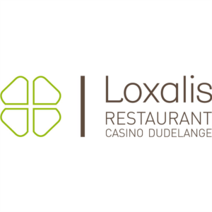 Logo Loxalis Sàrl