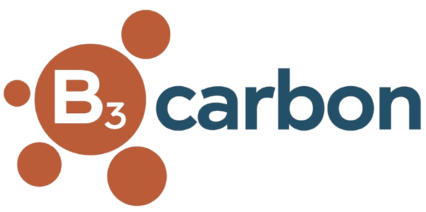 Logo B3 Carbon SARLS