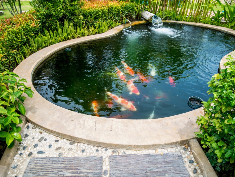 create garden pond