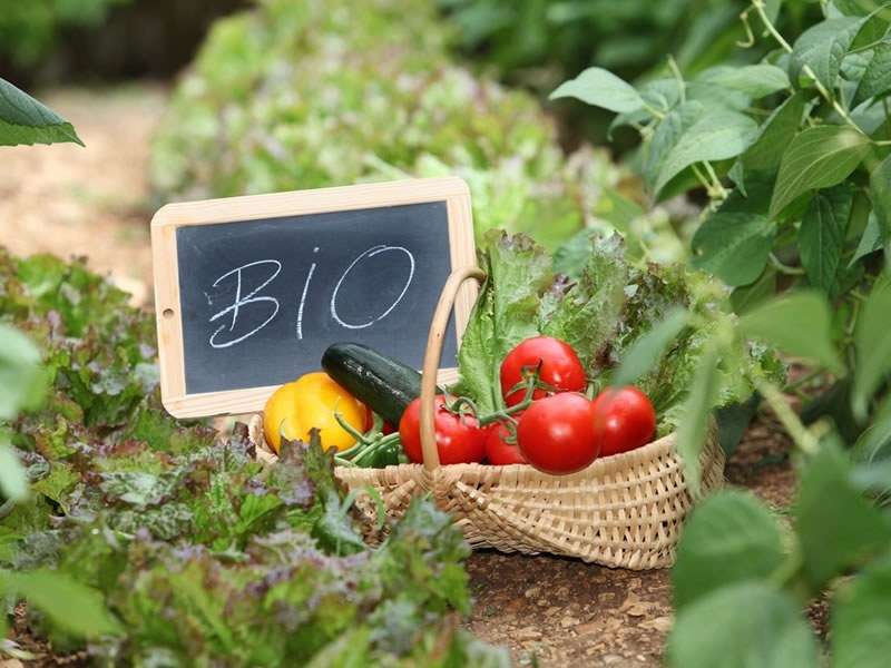 manger bio pas cher