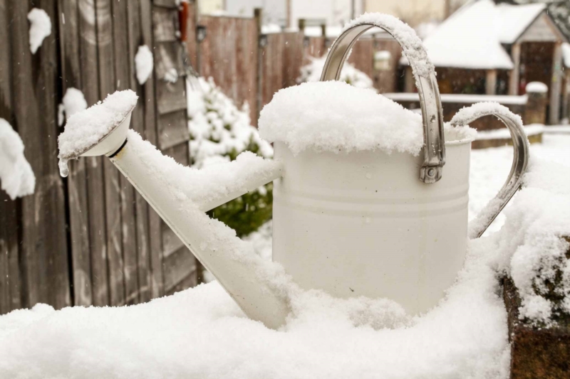 Gartenarbeit im Januar: Beratung und Arbeit sind noch zu tun