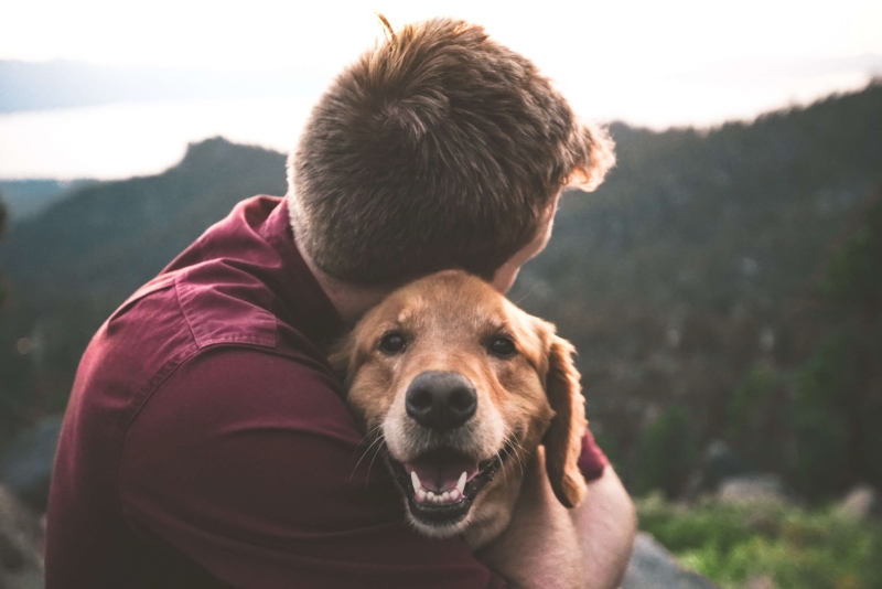 Les bonnes questions à se poser avant d’adopter