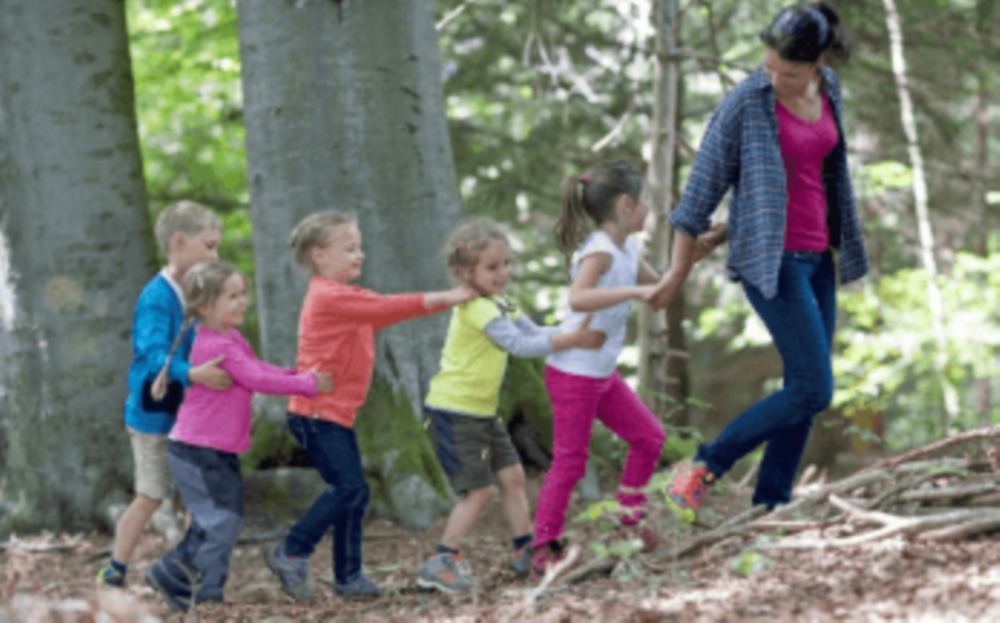 Environnement et nature