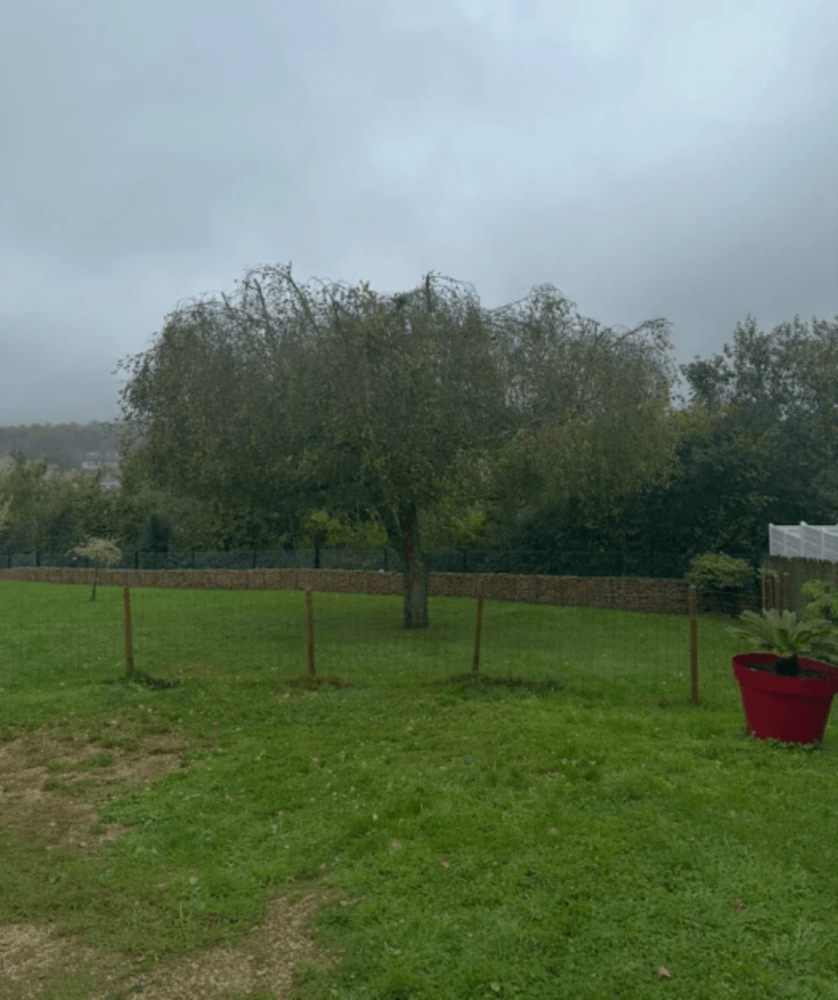 Abattage d’arbres en urgence : quand et pourquoi intervenir 