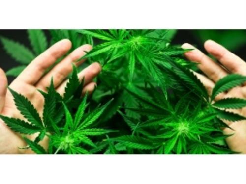 CBD