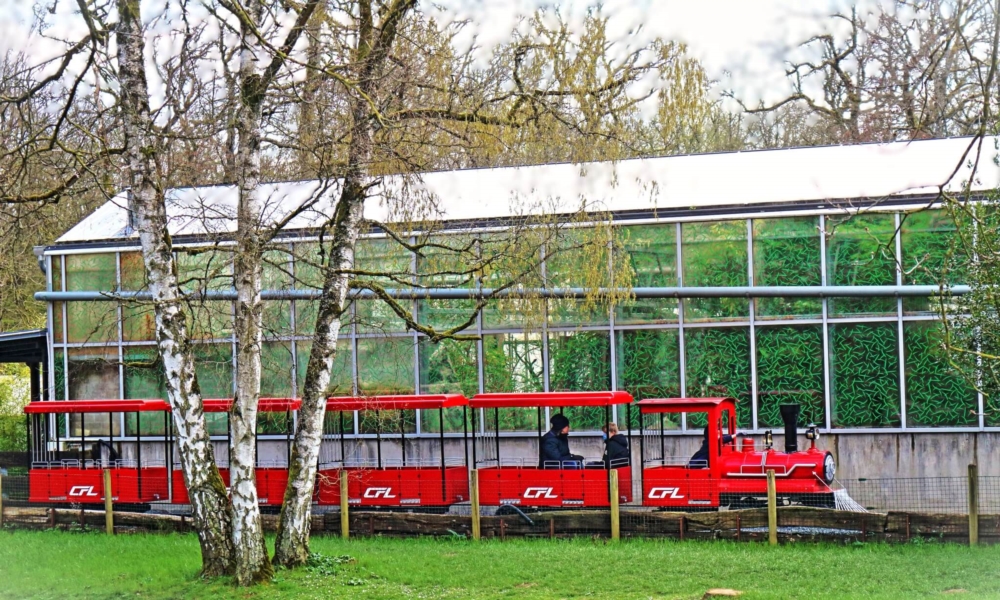 Attraktiounen