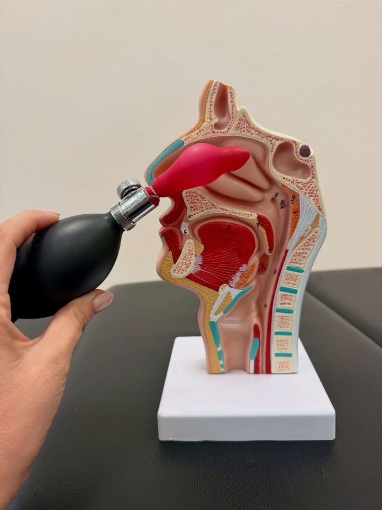 Cranial facial release 