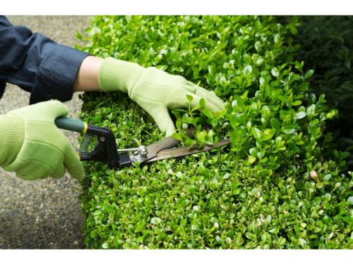 Entretien d'espaces verts