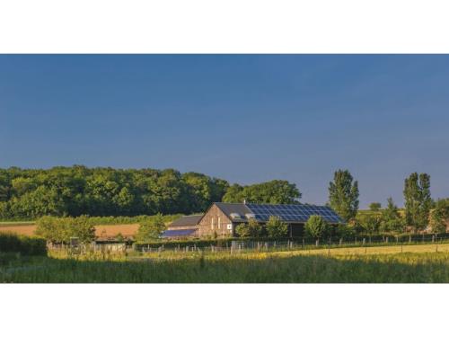 Paysage et pépinière