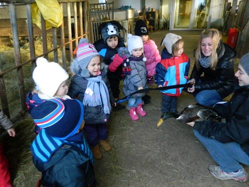 Visite à la ferme