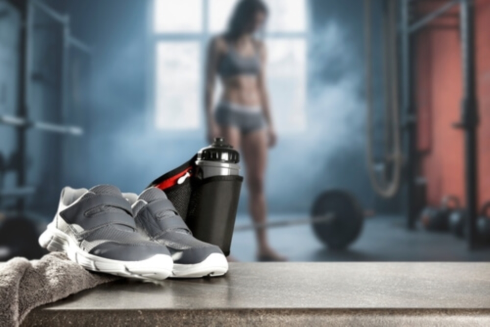 Découvre MOLLITIAM 1839