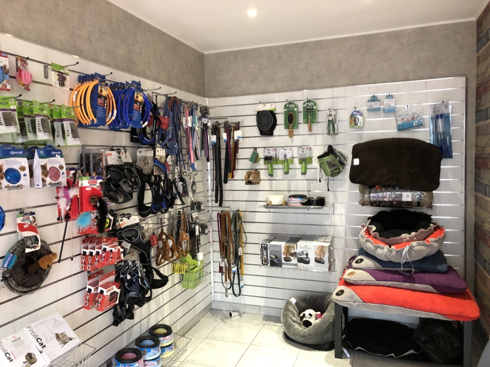 Accessoires pour chiens et chats