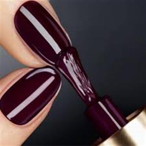 vernis permanent Pro Nails 35euro