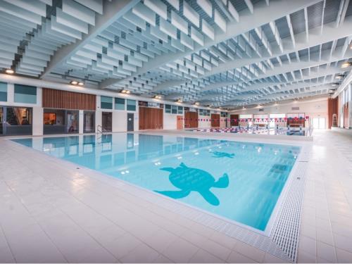 Rénovation de la piscine de Bastogne (BE)