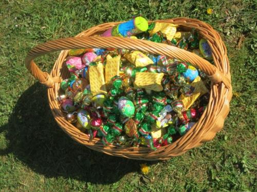 Nos lapins fêtent Pacques