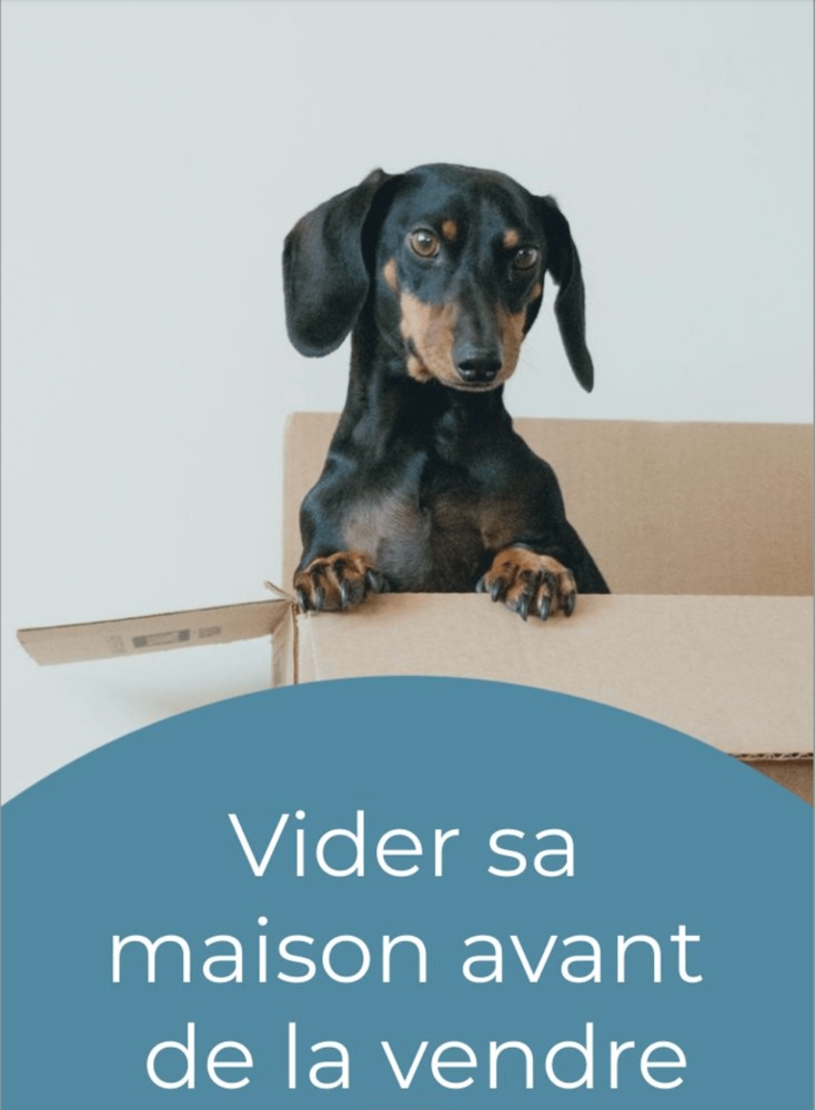 Service Vide-maison