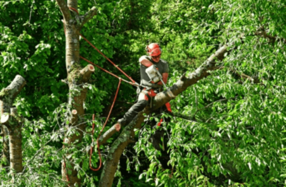 Sécurisation de couronnes