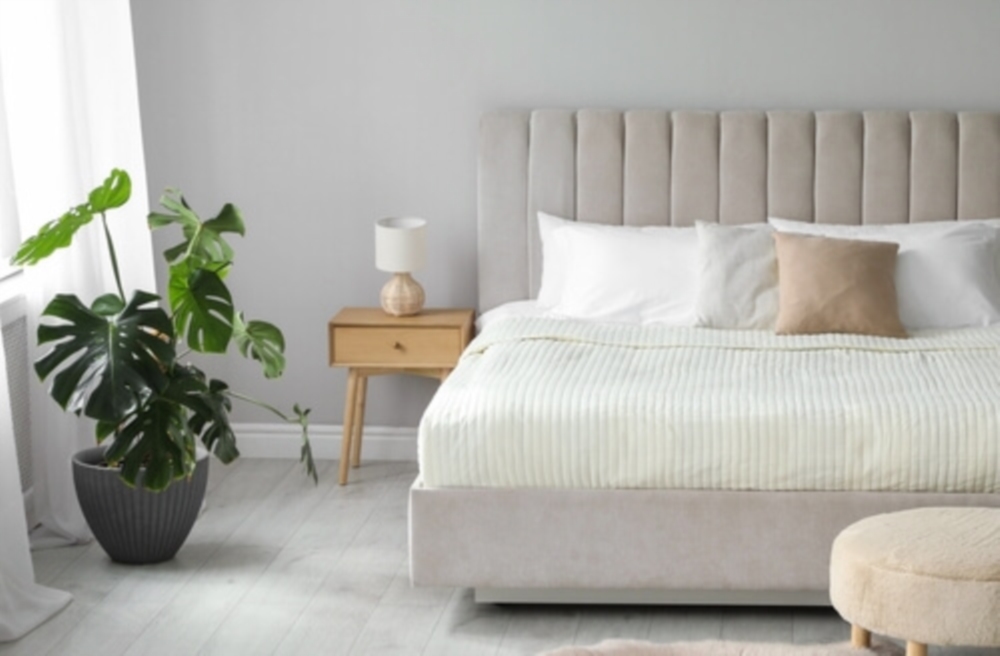 Les tendances déco 2025 pour moderniser votre intérieur