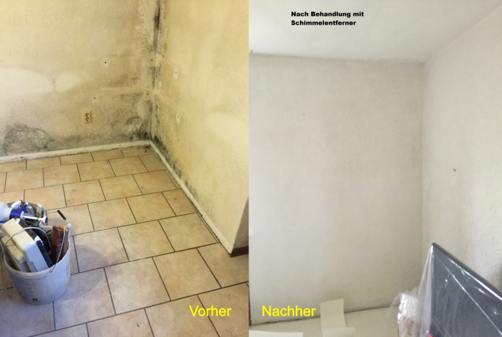 Mold removal