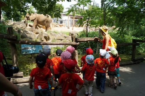 Excursion au zoo d'Amnéville