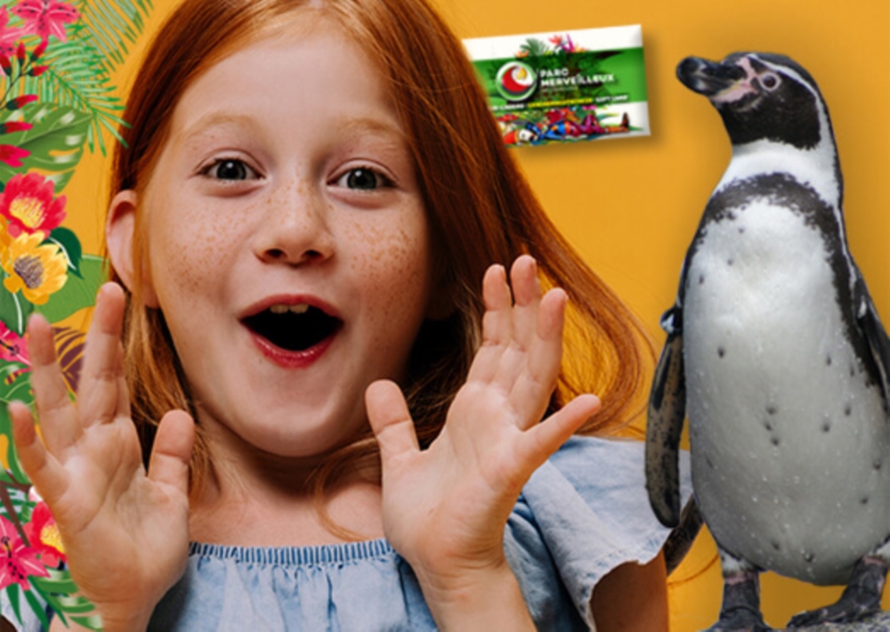 Gift Vouchers
