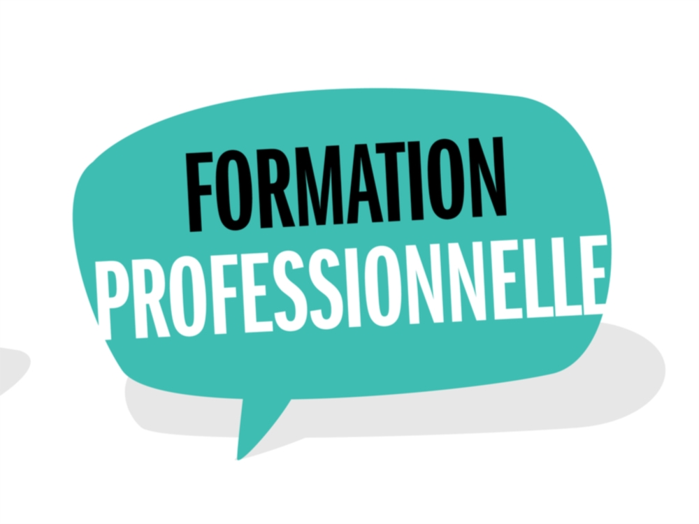 FORMATIONS PROFESSIONNELLES