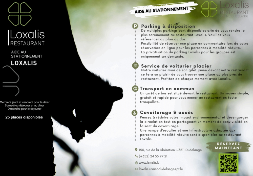 Aide au stationnement