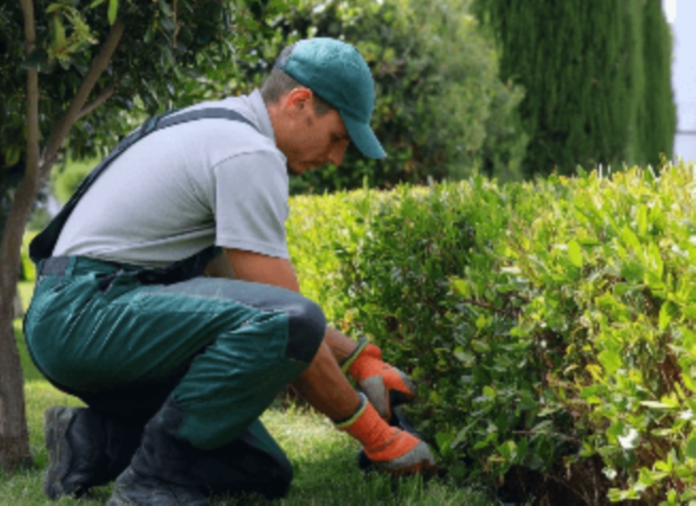 Entretien des espaces verts