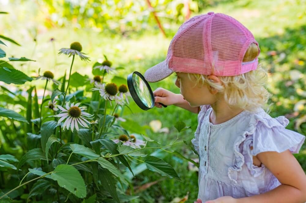 Jardinage et découverte des plantes