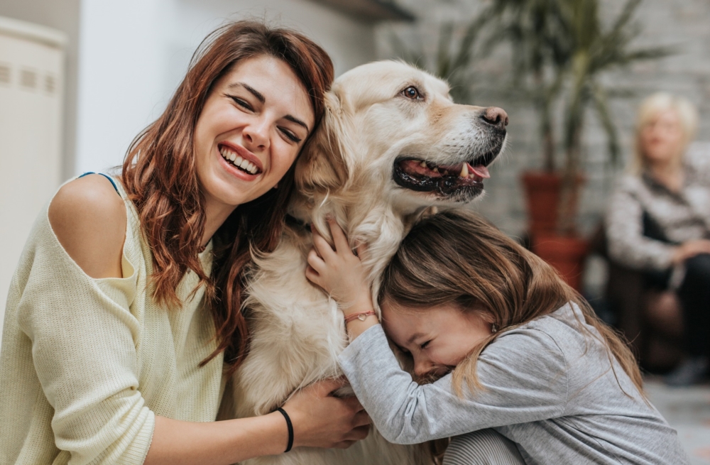 Une assurance santé pour son chien au Luxembourg ?