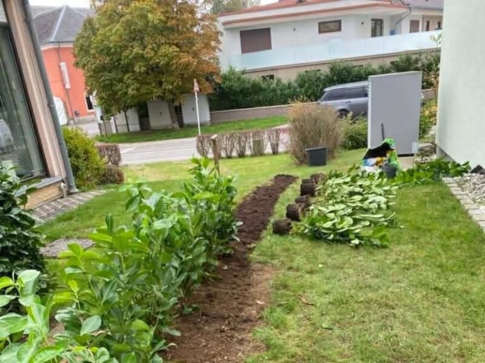 Création et aménagement de jardins
