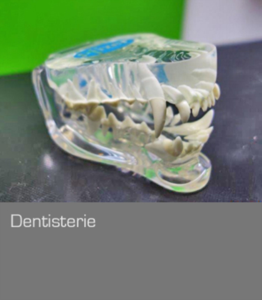 Dentisterie