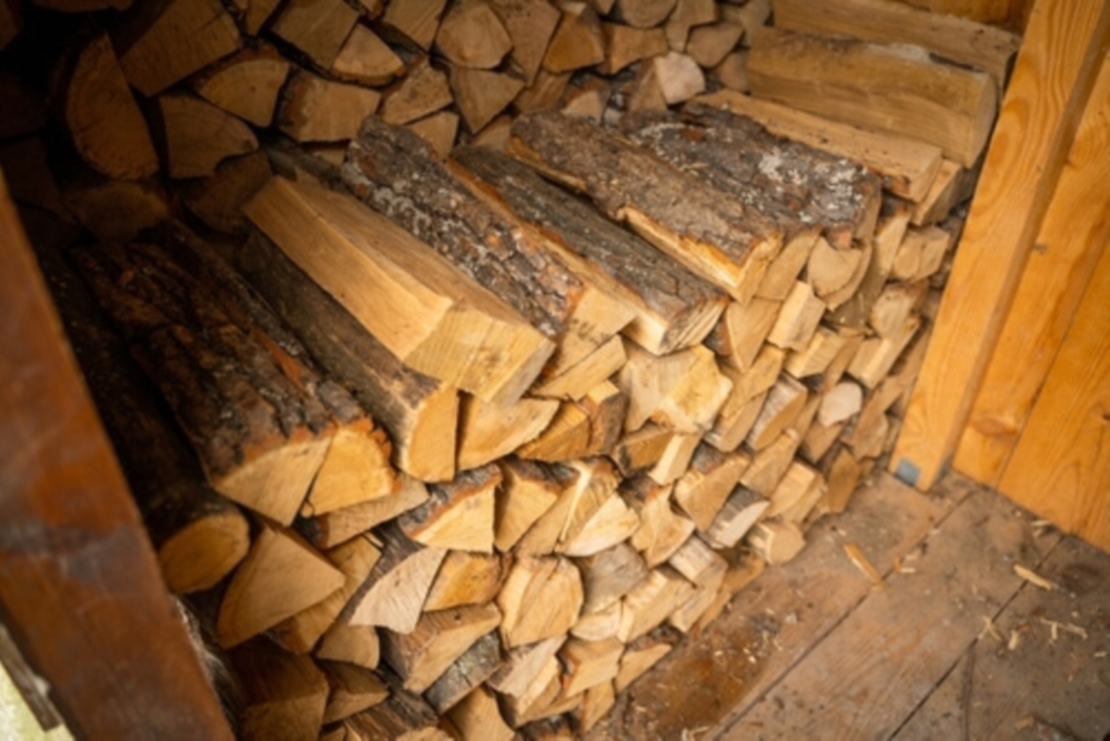 Vente de bois feuillus