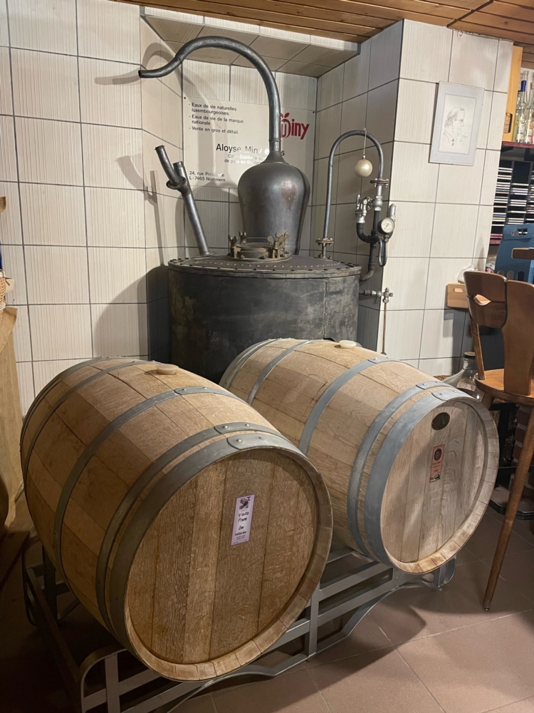 Gin