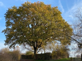 Inneres Gleichgewicht finden