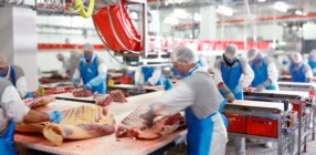 Nos offres d'emploi