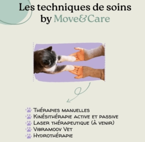 Les techniques de soins by Move&Care 