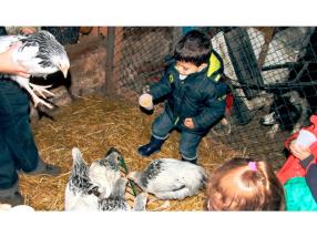 Les sorties