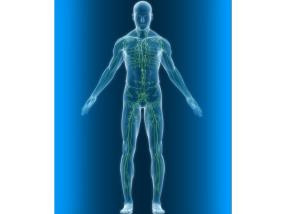 Drainage lymphatique manuel