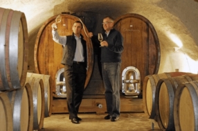Dégustations & visites de cave