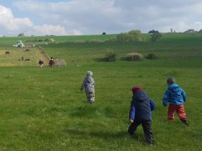 Promenade dans la nature