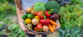 Uebst a Geméis AUS EISEM GAART