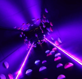 Une idée originale pour un team building 